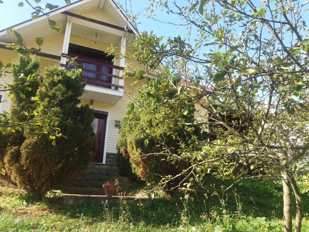 Виллы Casa Irina Пьятра-Нямц-4