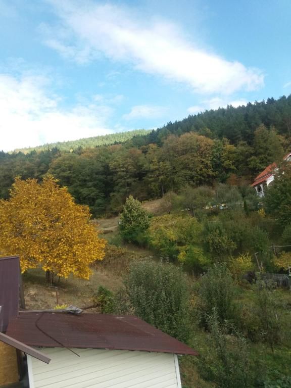 Виллы Casa Irina Пьятра-Нямц-104