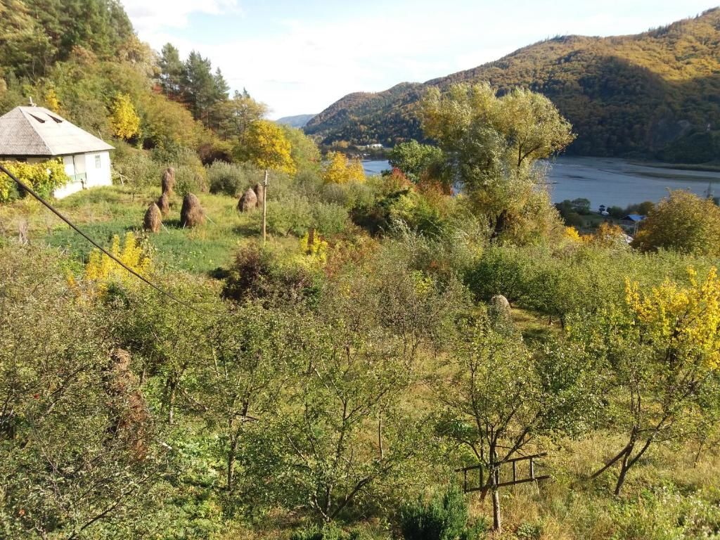 Виллы Casa Irina Пьятра-Нямц-105