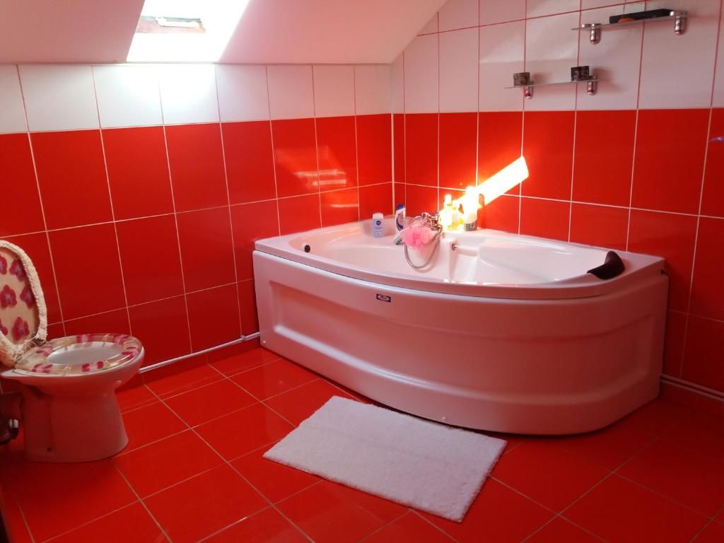 Виллы Casa Irina Пьятра-Нямц-118